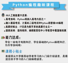 天津9-16歲青少年Python編程與軟件開發培訓指南